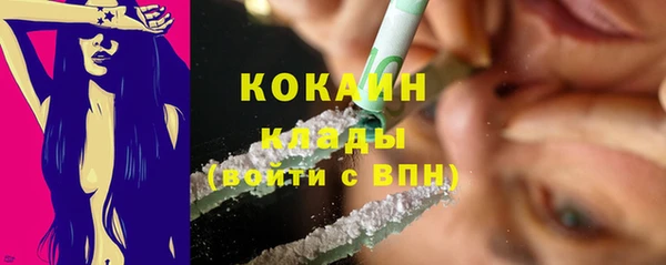 ГАЛЛЮЦИНОГЕННЫЕ ГРИБЫ Семёнов