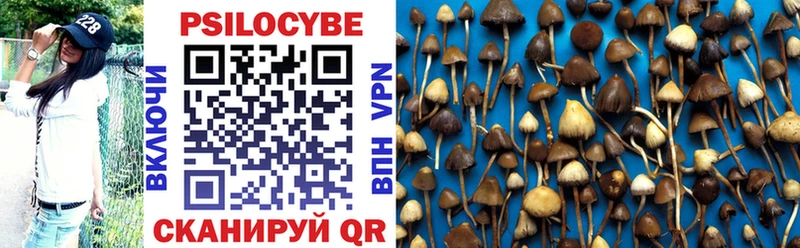 где купить наркоту  Игра  OMG как зайти  мориарти состав  Псилоцибиновые грибы Cubensis 
